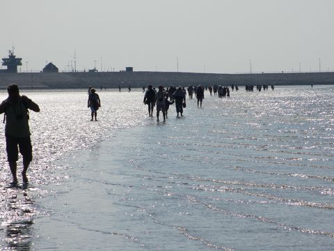 Impressionen Büsum 009