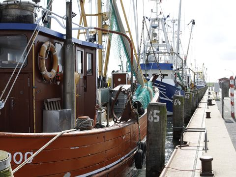 Impressionen Büsum 006